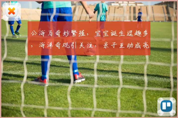 公海马奇妙繁殖，宝宝诞生逗趣多，海洋奇观引关注，亲子互动成亮点，