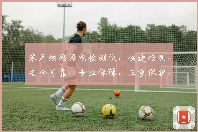 家用线路漏电检测仪，快速检测，安全可靠，专业保障，三重保护，居家必备。