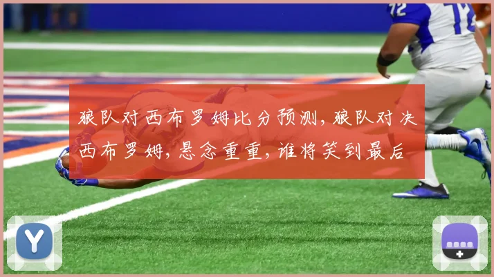 狼队对西布罗姆比分预测,狼队对决西布罗姆,悬念重重,谁将笑到最后
