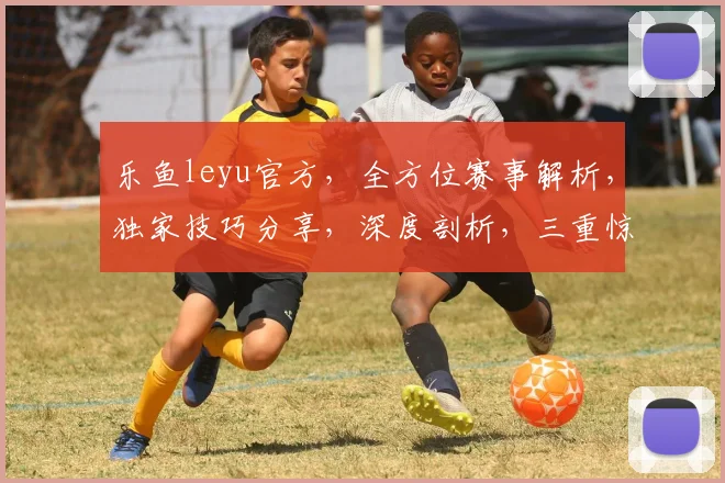 乐鱼leyu官方，全方位赛事解析，独家技巧分享，深度剖析，三重惊喜等你来