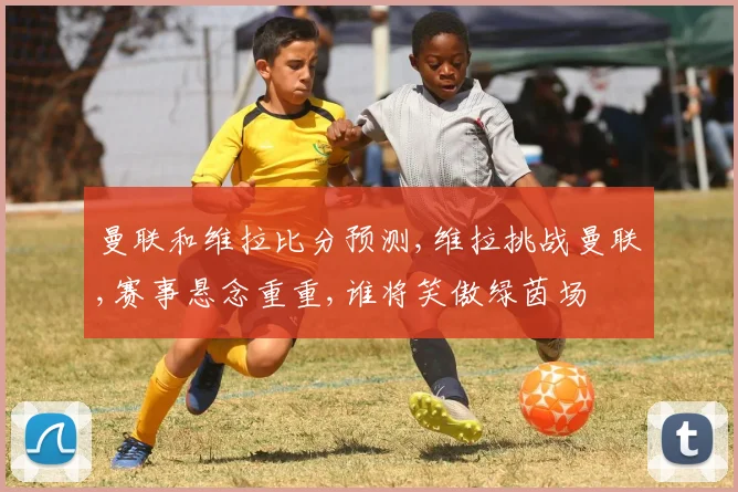 曼联和维拉比分预测,维拉挑战曼联,赛事悬念重重,谁将笑傲绿茵场